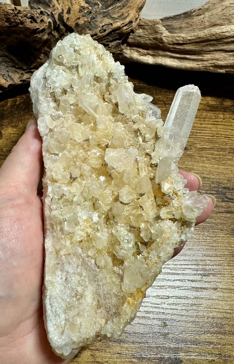 ■ 黄鉄鉱 パイライト共生 クラスター 水晶 鉱物 原石 天然石 ☆。.:*・゜39800拍卖