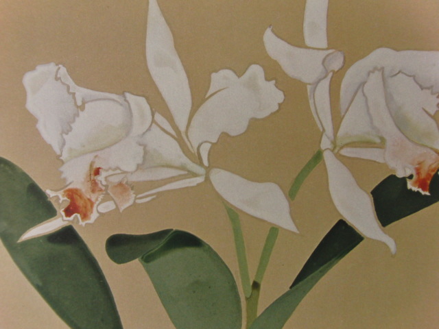 奥村土牛、【蘭花】、希少な大判額装用画集より、新品高級額装付、豪華限定版、巨匠、コロタイプ、日本人画家拍卖