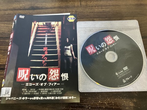 呪いの怨恨 エコーズ・オブ・フィアー DVD トリスタ・ロビンソン 即決 送料200円 125拍卖