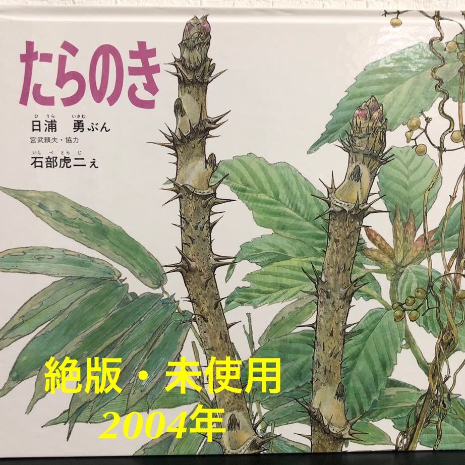 ◆絶版・未使用◆「たらのき」かがくのとも 特製版 日浦勇 石部虎二 福音館 2004年 レトロ絵本拍卖