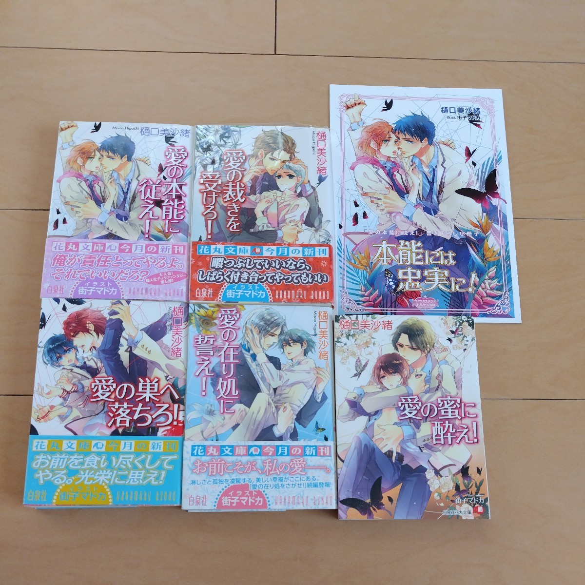 文庫 小説 ムシシリーズ 樋口美沙緒 街子マドカ 5冊セット 花丸文庫 小冊子付き拍卖