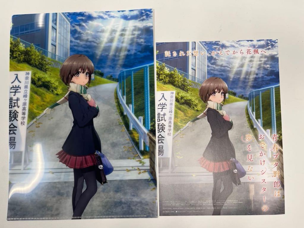 青春ブタ野郎はおでかけシスターの夢を見ない ムビチケ 前売り特典 A4クリアファイル チラシ フライアー 付 青ブタ拍卖