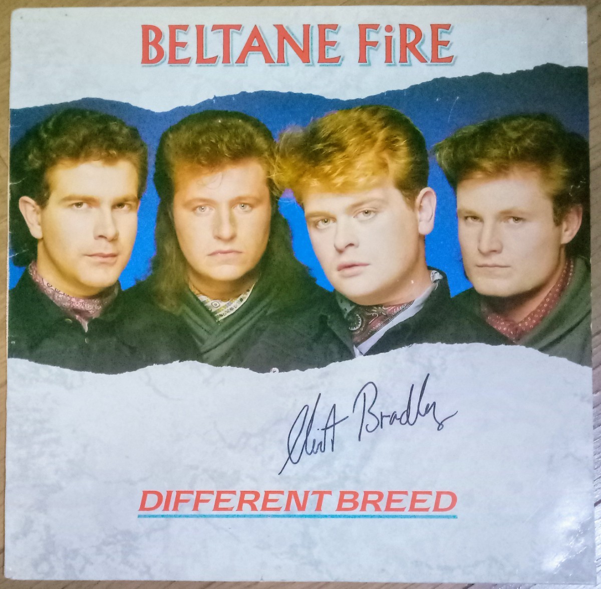 超貴重盤・発禁ジャケ付・サイン入 / BELTANE FIRE - DIFFERENT BREED (LP Vinyl レコード) / BLUE CATS / Clint Bradley / ネオロカビリー拍卖