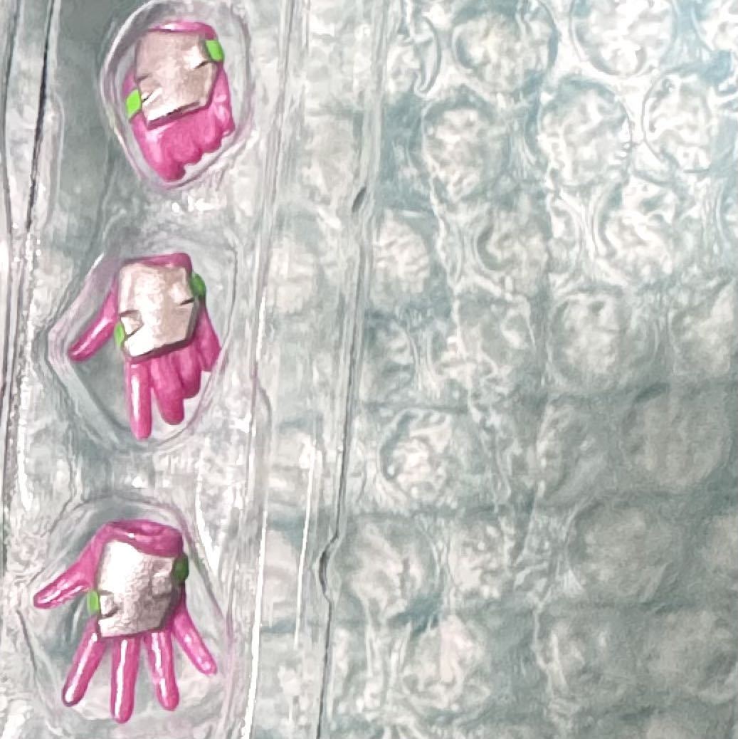 左手セット 仮面ライダーエグゼイド アクションゲーマーレベル2 平成ジェネレーションズエディション S.H.Figuarts拍卖