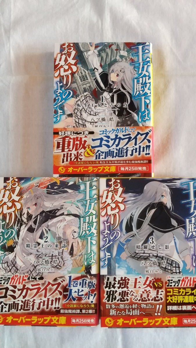 王女殿下はお怒りのようです 1/2/3巻 オーバーラップ文庫 八ツ橋皓/著 ライトノベル拍卖