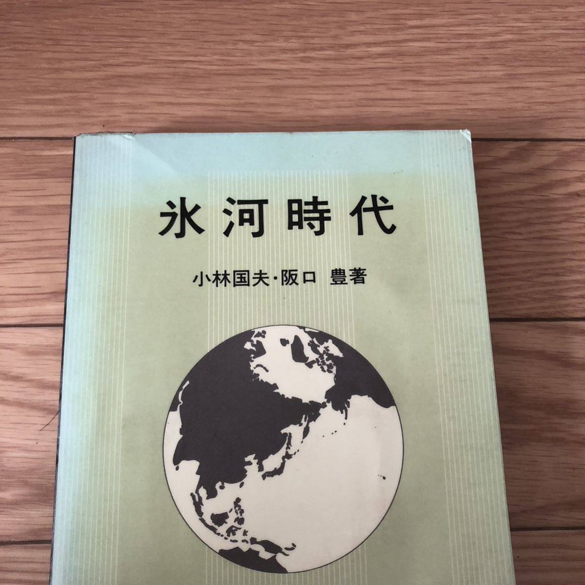 氷河時代 小林国夫、阪口豊共著 岩波書店 リサイクル本 除籍本拍卖