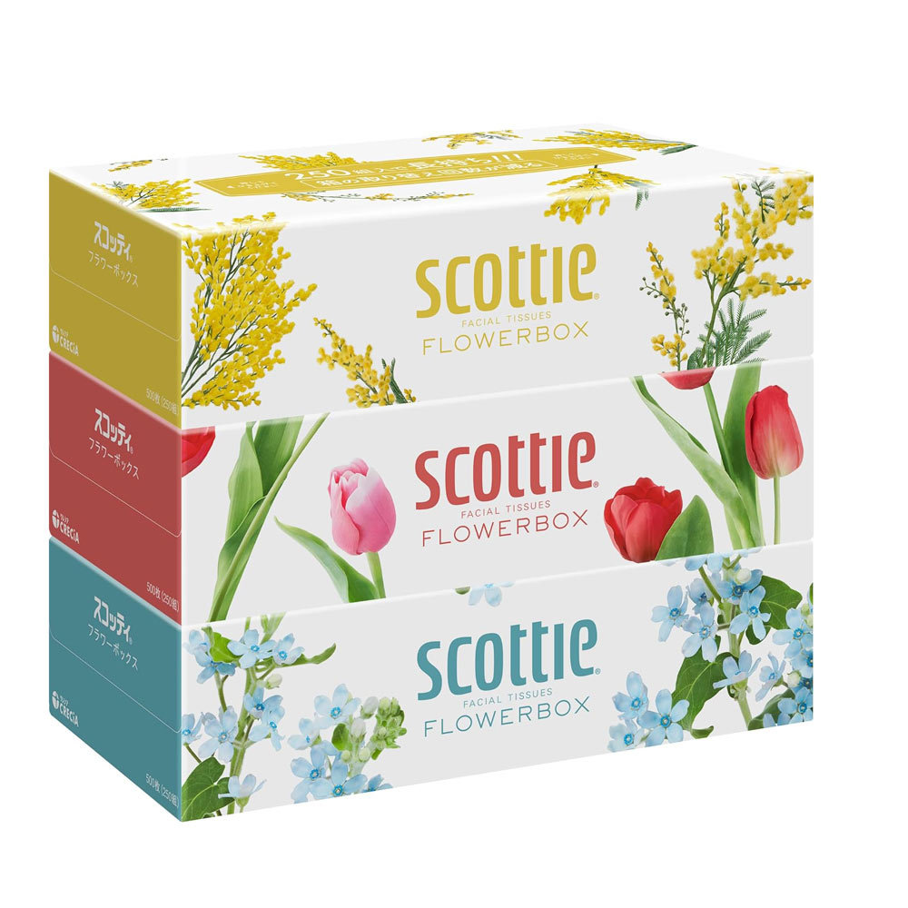 ティッシュペーパー ボックスティッシュ スコッティー 500枚(250組)x3箱x4パック/卸拍卖