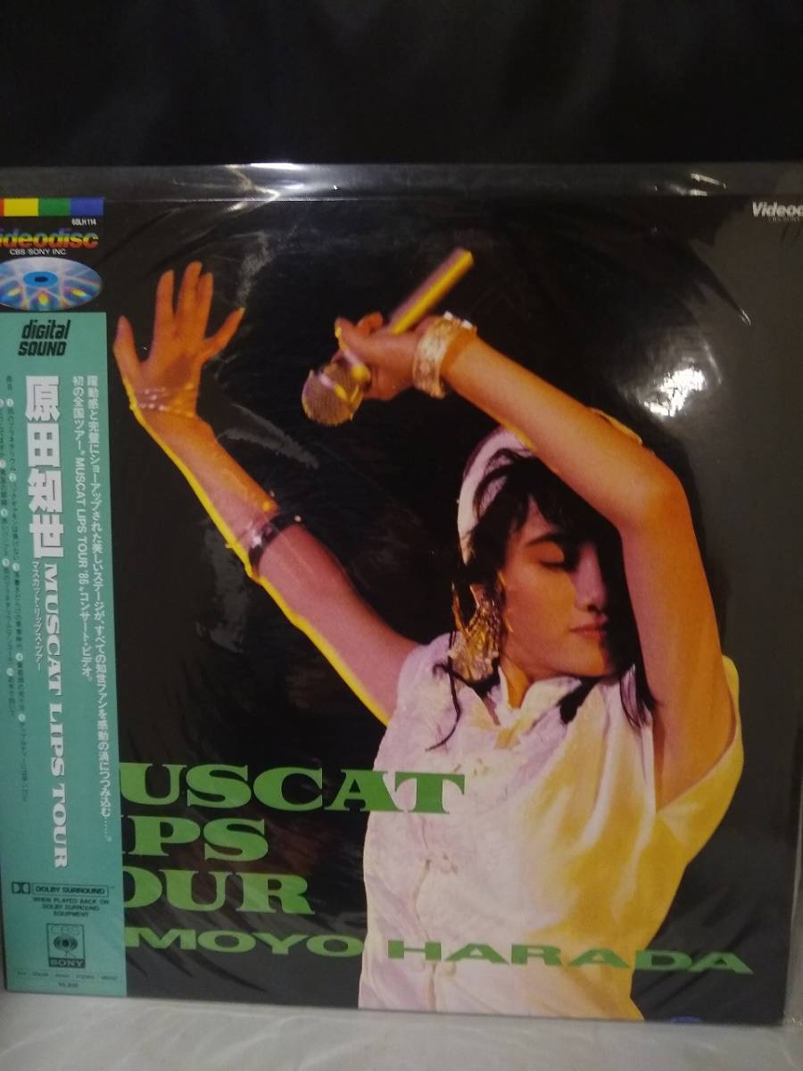 L9817 LD・レーザーディスク 原田知世 マスカット・リップス・ツアー拍卖