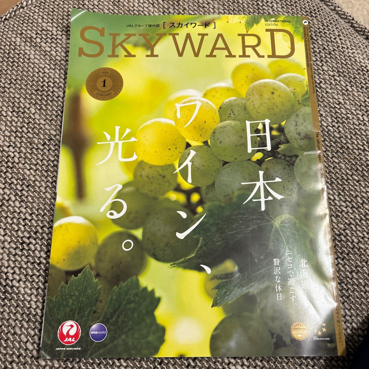 スカイワード JAL SKYWARD 機内誌 国際線拍卖