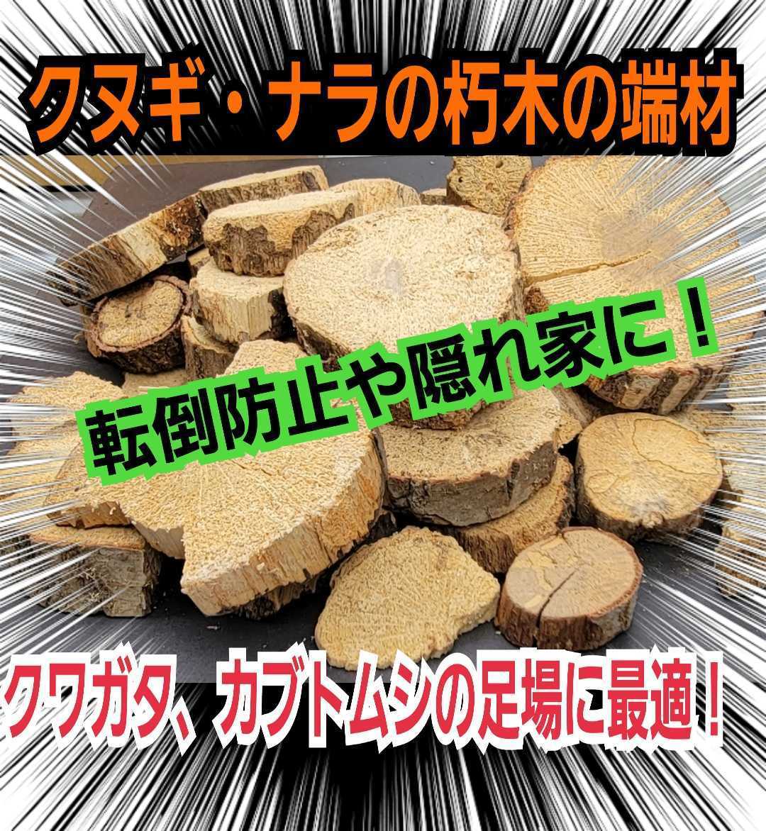 クヌギ・ナラの産卵木の端材【5~6個】クワガタ、カブトムシの交尾の場所に最適☆足場、とまり木、転倒防止、ディスプレイにも抜群です!拍卖