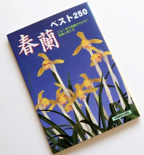 春蘭ベスト250これ1冊で春蘭がわかる花芸柄芸葉芸寒蘭山野草識別幽谷殿天紅香葉芸柄芸縞班覆輪縞班虎班変わり葉花芸紅赤色黄色豆花縞覆輪班拍卖