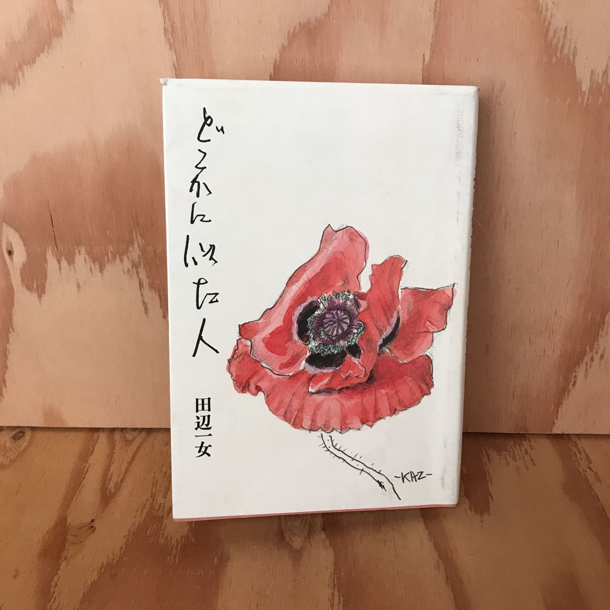 ☆うB‐190123 レア〔どこかに似た人 田辺一女〕かずめさんの綴り方拍卖