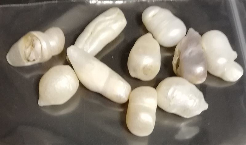 天然パール おまとめ 30g アコヤ真珠 白蝶真珠 黒蝶真珠 ルース 宝石 ジュエリー拍卖