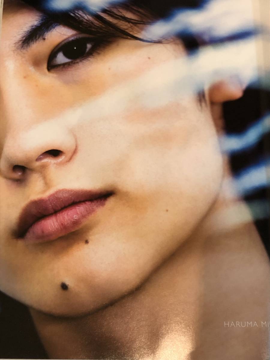 即決 「サムライ・ハイスクール 三浦春馬」/大沢たかお掲載 プラスアクト.ミニ プラスアクト増刊'09/10拍卖