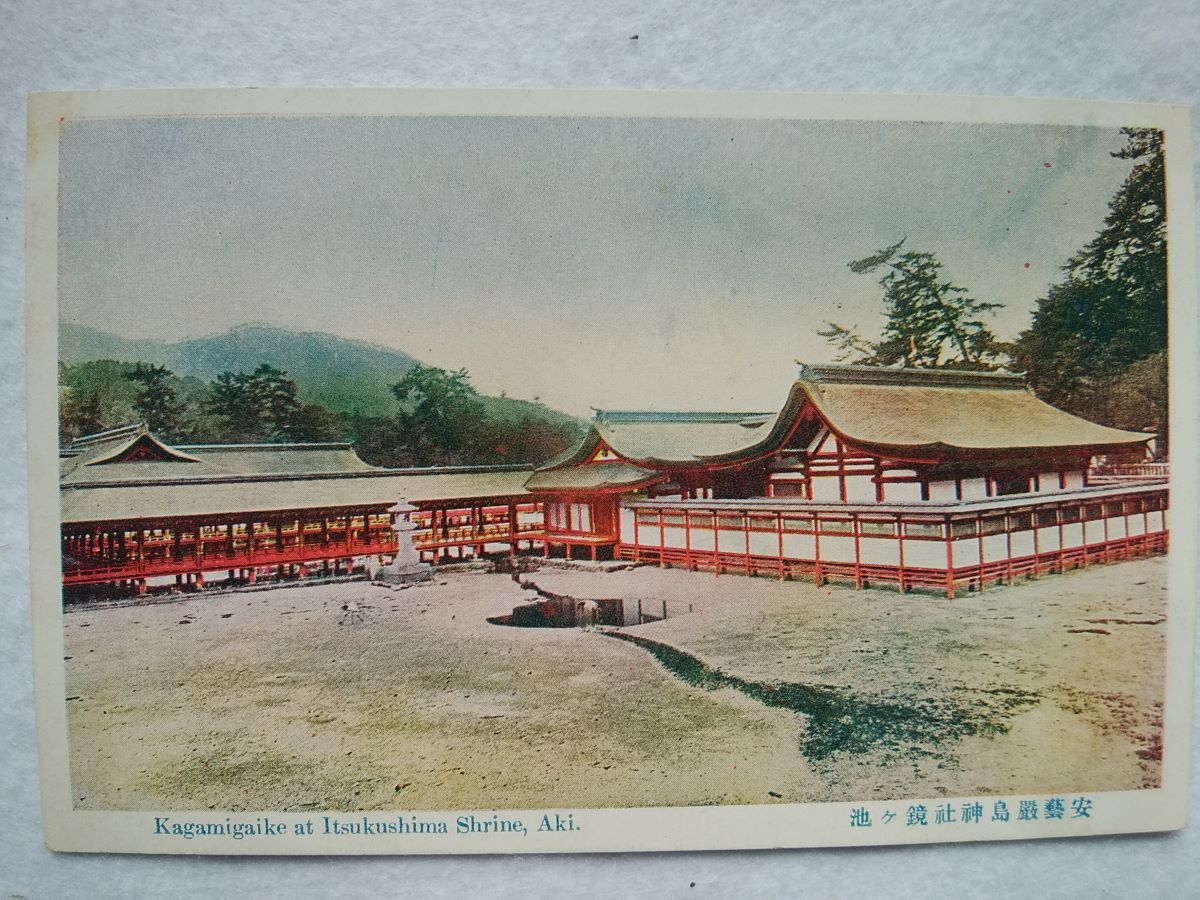 絵葉書 複製 光村出版部 広島 安藝厳島神社 鏡ケ池 カラー拍卖