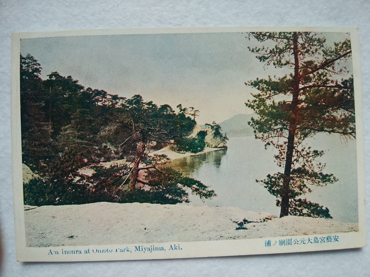 絵葉書 複製 光村出版部 広島 安藝宮島大元公園綱ノ浦 カラー拍卖