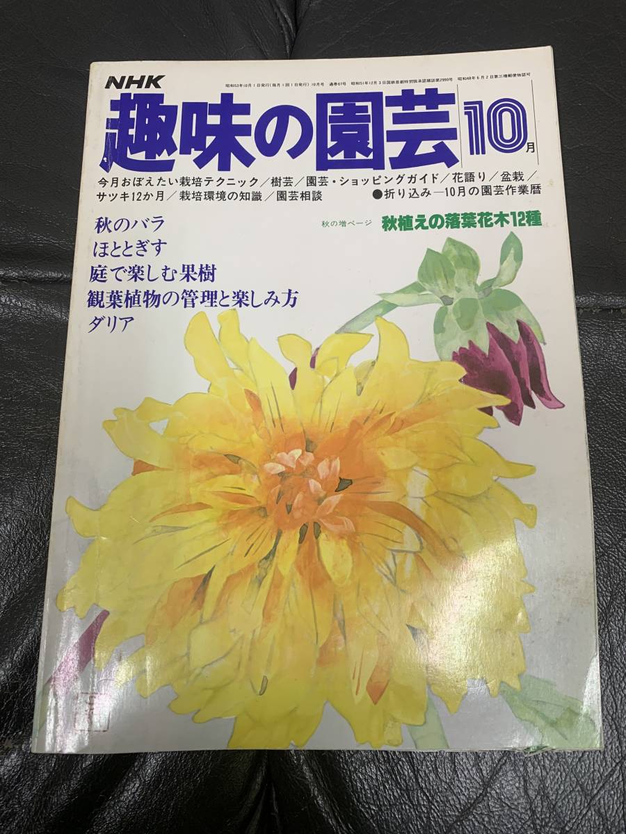 ★昭和53年★NHK 「趣味の園芸」10月 秋のバラ ほととぎす 庭で楽しむ果樹 観葉植物 ダリア (奥ベッド下保管)拍卖