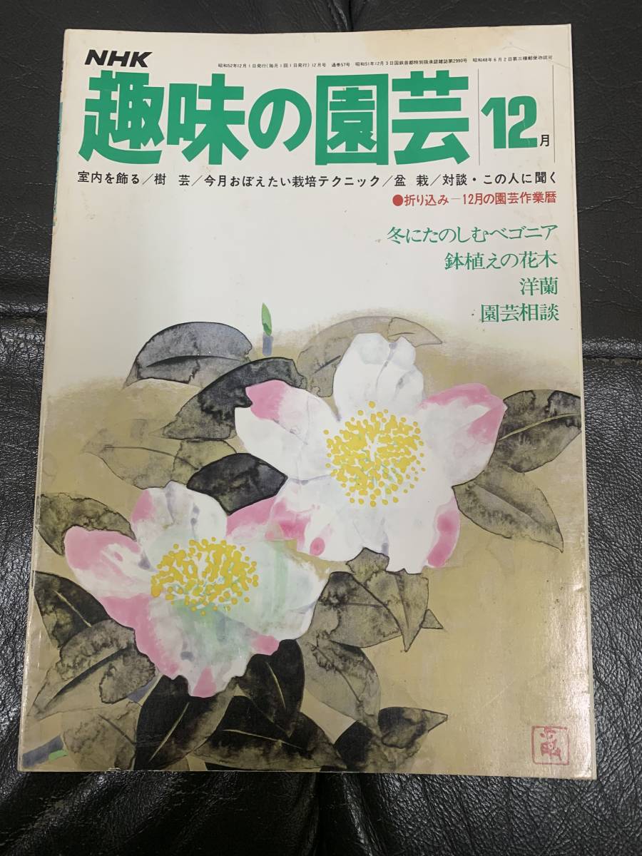 ★昭和52年★NHK 「趣味の園芸」12月 鉢植えの花木 洋蘭 園芸相談 (奥ベッド下保管)拍卖