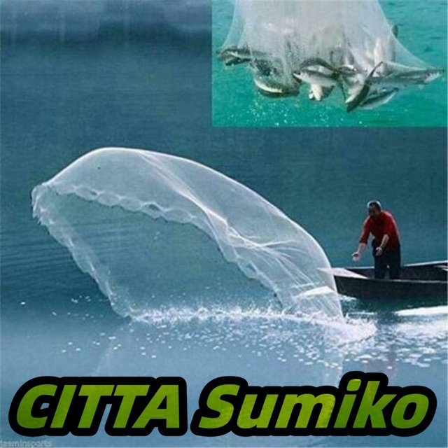 漁網 簡単 スローハンド 強力 ナイロン メッシュシンカー 網 フィッシング 釣り 魚 アウトドア 海拍卖