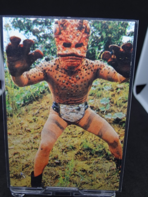 毒ガマ怪人ガマギラー 1999 カルビー仮面ライダーチップスカード拍卖