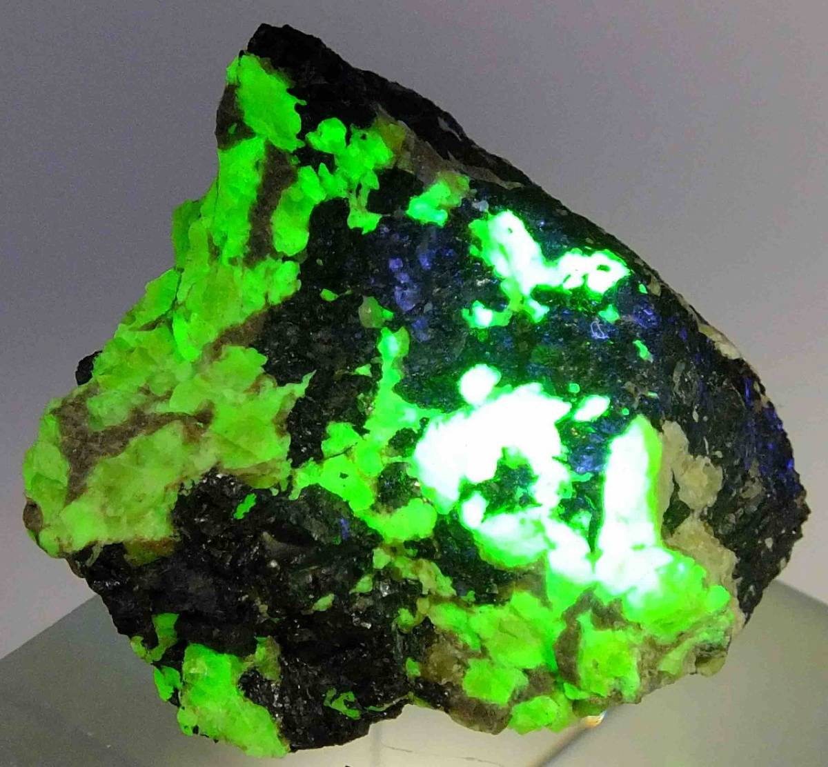 ☆☆ 珪亜鉛鉱(蛍光)<ニュージャージー州> 12 ☆☆拍卖