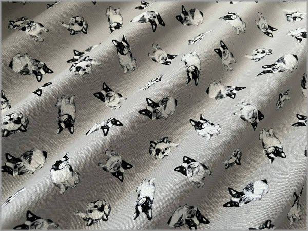 ☆50cm☆フレンチブルドッグ グレー 生地拍卖