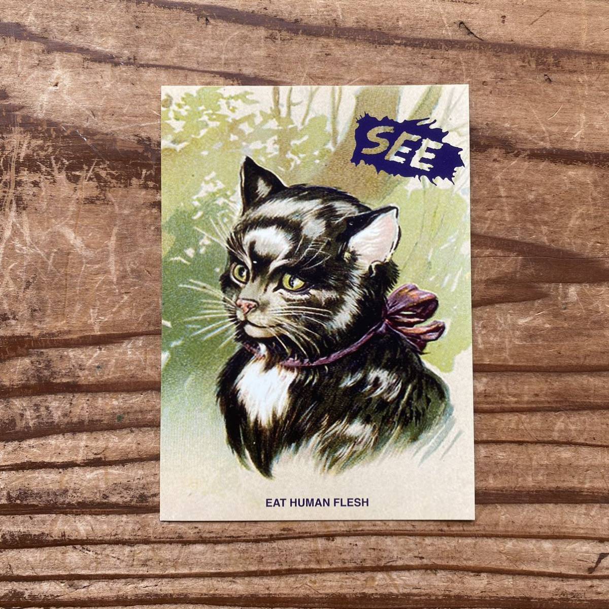 【アンダーカバー UNDERCOVERISM 非売品 限定品 ポストカード DM ネコ キャット SEE EAT HUMAN FLESH artscabut期 685 jonio 猫】拍卖