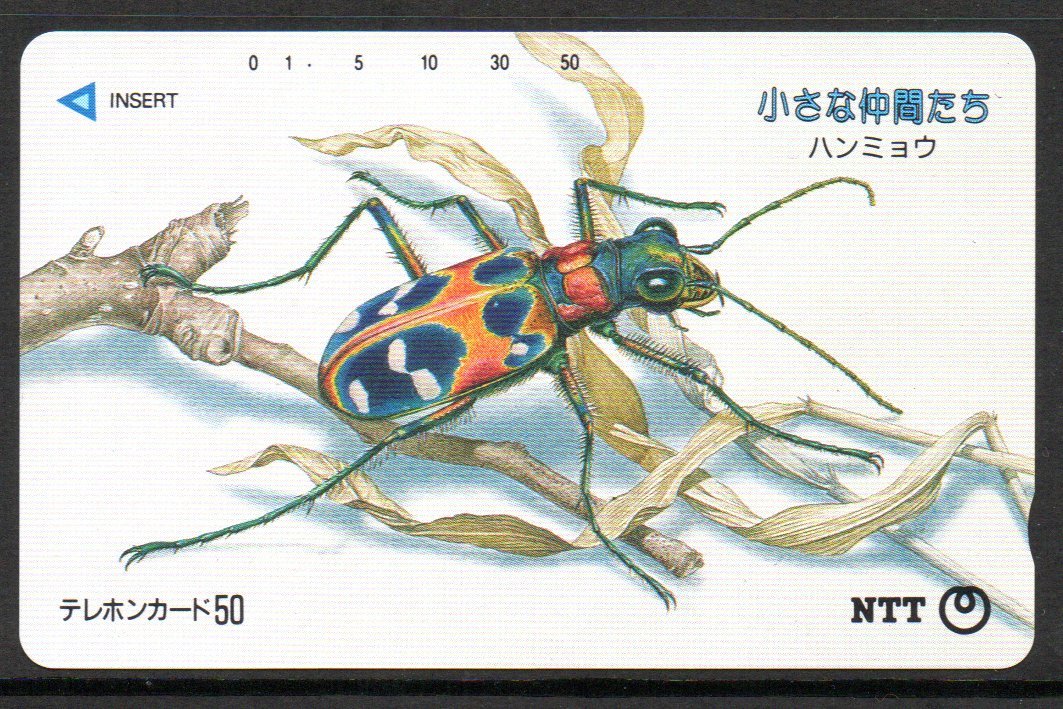 テレカ ハンミョウ 小さな仲間たち テレホンカード拍卖