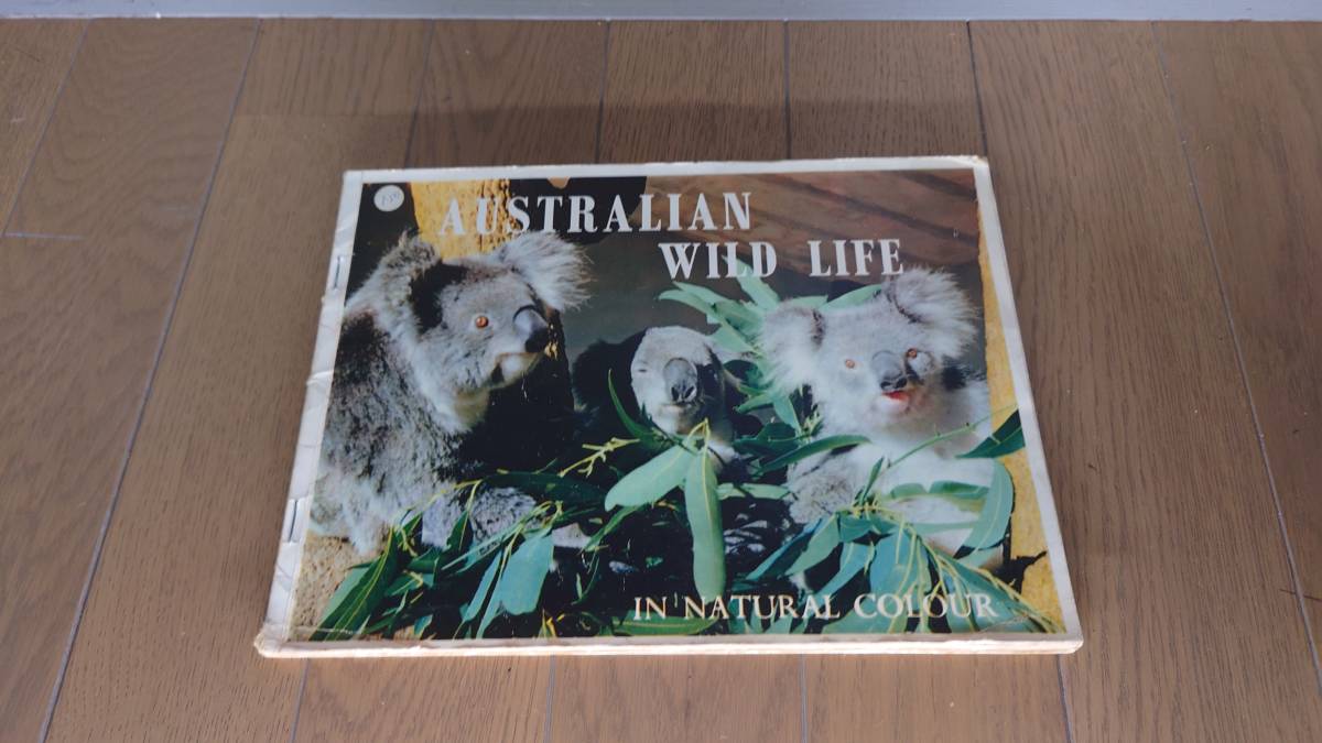 【レア品】AUSTRALIAN WILD LIFE IN NATURAL COLOUR拍卖