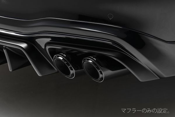 WALD ヴェルド W223 S-class マフラー BK100W ×2 AMG-LINE用 S500 新品 ブラバス Lorinser AMG S63 メルセデス ベンツ 拍卖