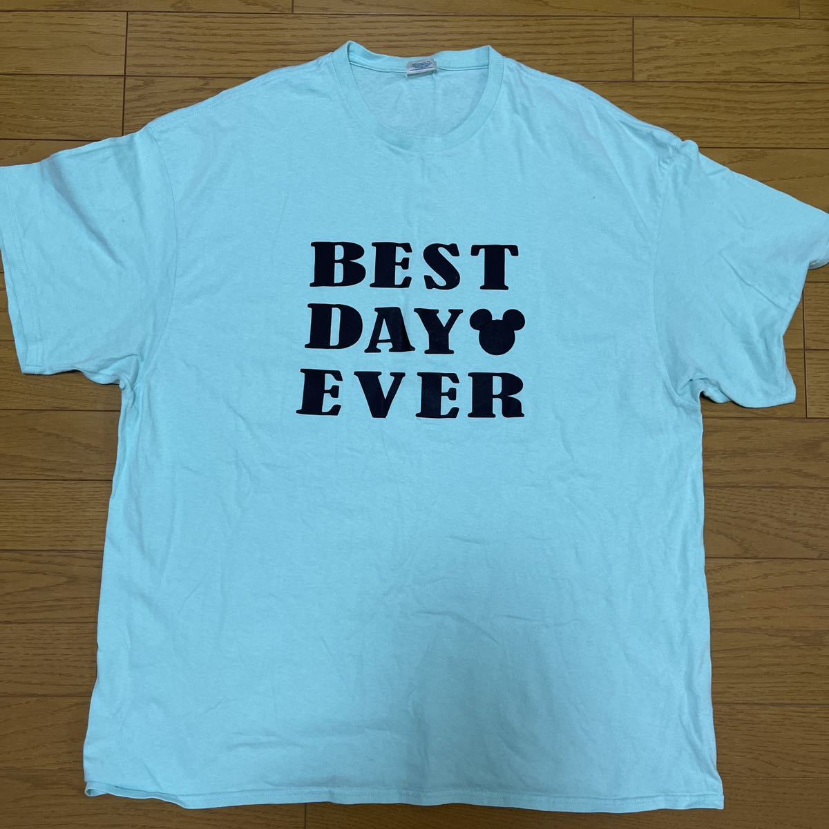 送料無料■DELTA PRO WEIGHT ライトグリーン 半袖 Tシャツ サイズ 2XL US古着拍卖