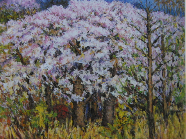 森田賢、【桜咲く】、希少な額装用画集より、状態良好、新品額装付、インテリア、春、桜拍卖
