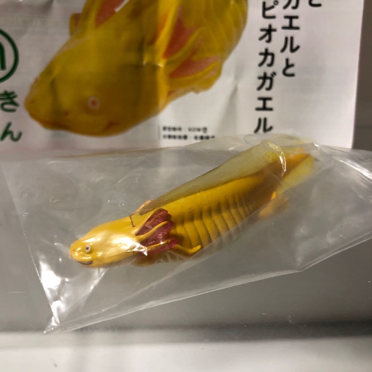 ネイチャーテクニカラー メキシコサンショウウオ(ウーパールーパーゴールデン)拍卖