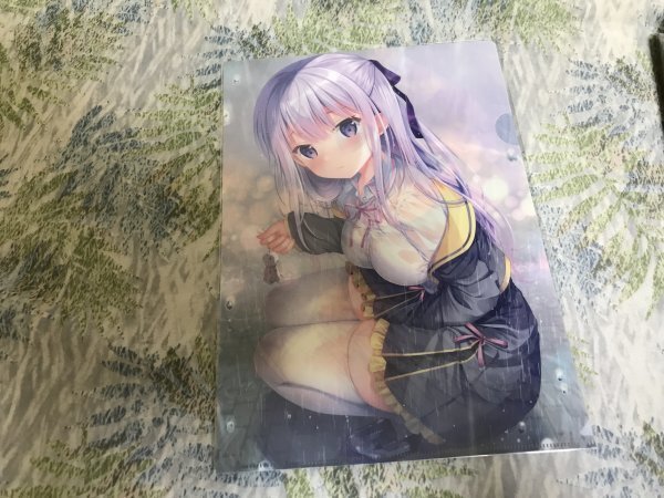 225クリアファイル 梅雨 絵柄F 柊飛鳥(花花捲&草草饅) /TwinBox拍卖