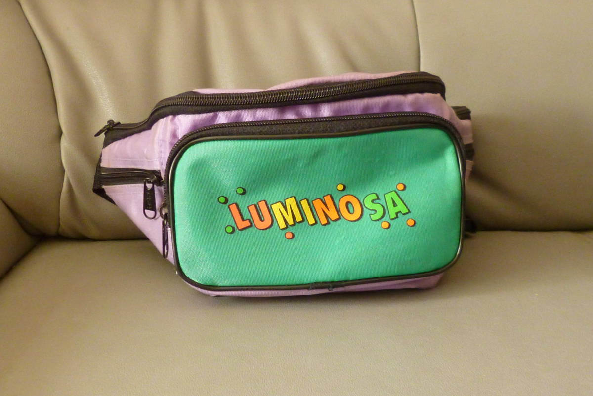 中古美品 ウエストポーチ ウエストバッグ ボディバッグ レターパック発送拍卖