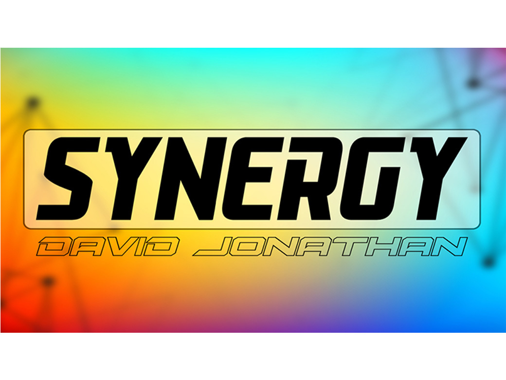 【定価8,700円】シナジー(最先端の予言)拍卖