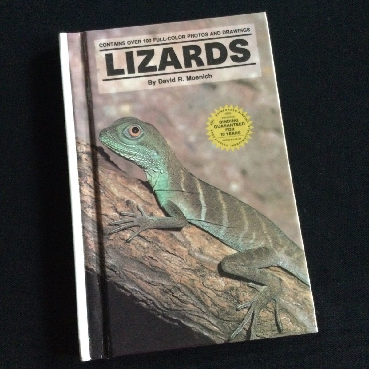 爬虫類 洋書 英語 図鑑 トカゲ ヤモリ Lizards ガイドブック アニマル拍卖