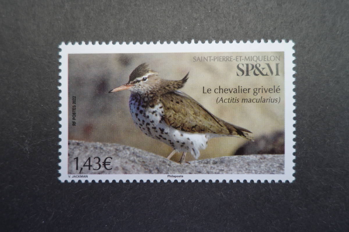 外国切手:サンピエール・ミクロン切手 「鳥」(アメリカイソシギ)1種 未使用拍卖