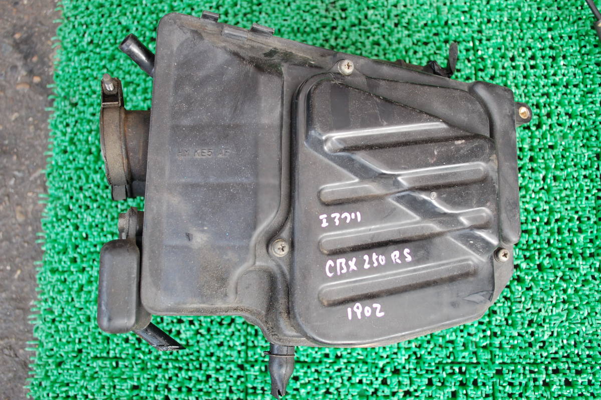 CBX250RS エアクリーナー 1902拍卖