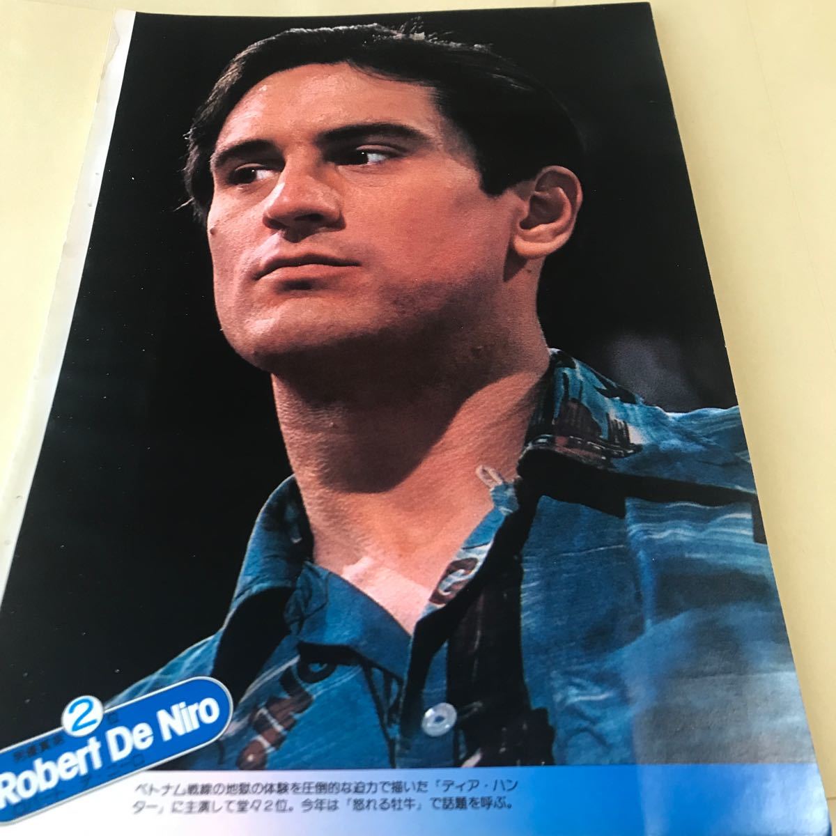 ロバートデニーロ、テイタムオニール、スタローン【ピンナップ】説明必読BKHYSR9803 0207拍卖