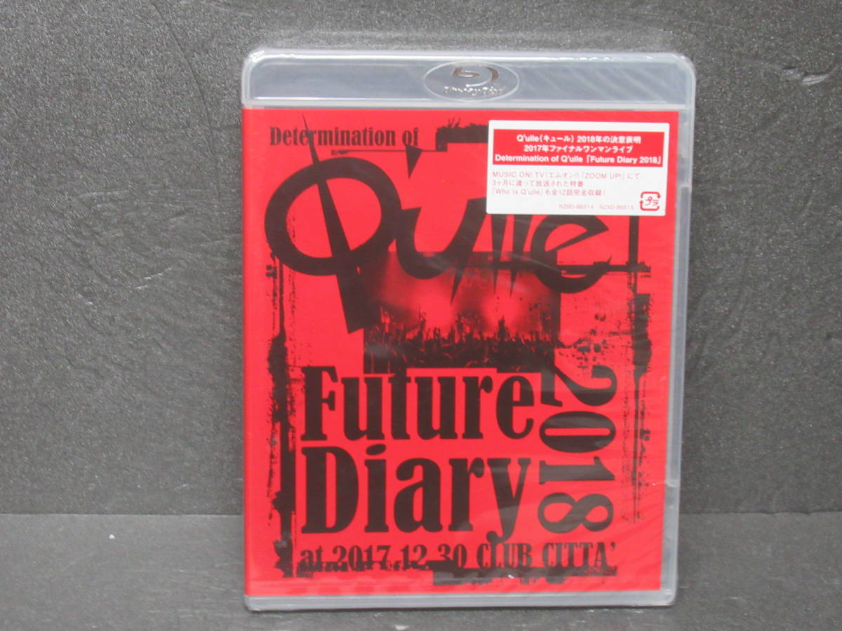 Determination of Q'ulle「Future Diary 2018」 at 2017.12.30 CLUB CITTA 2/6619拍卖