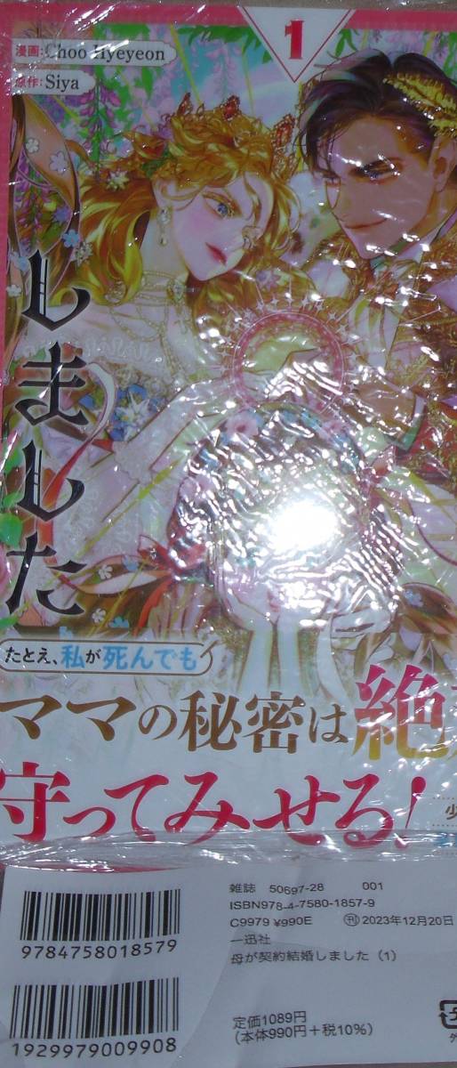 母が契約結婚しました 1拍卖