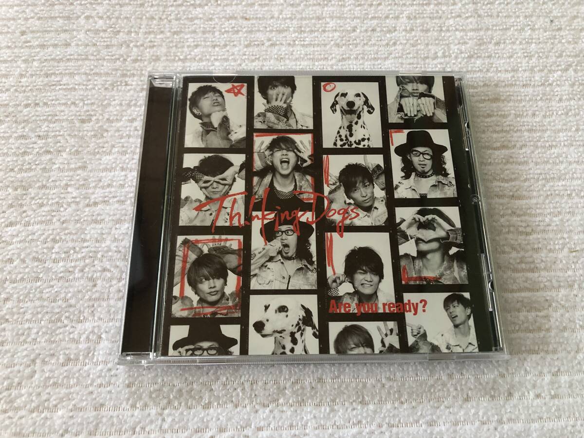 CDS  Thinking Dogs  シンキング・ドッグス  『Are you ready ?(通常盤)』  SRCL-9364拍卖