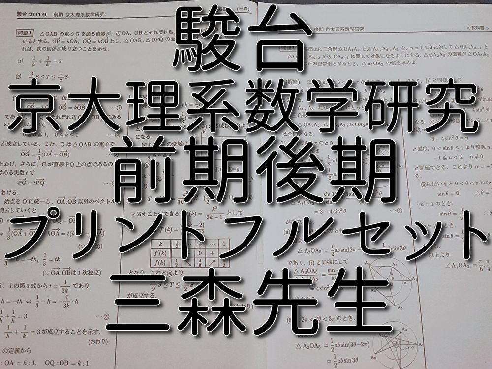 駿台 三森先生 前期・後期 京大理系数学研究 プリントフルセット 上位クラス 河合塾 駿台 鉄緑会 Z会 東進 SEG 拍卖