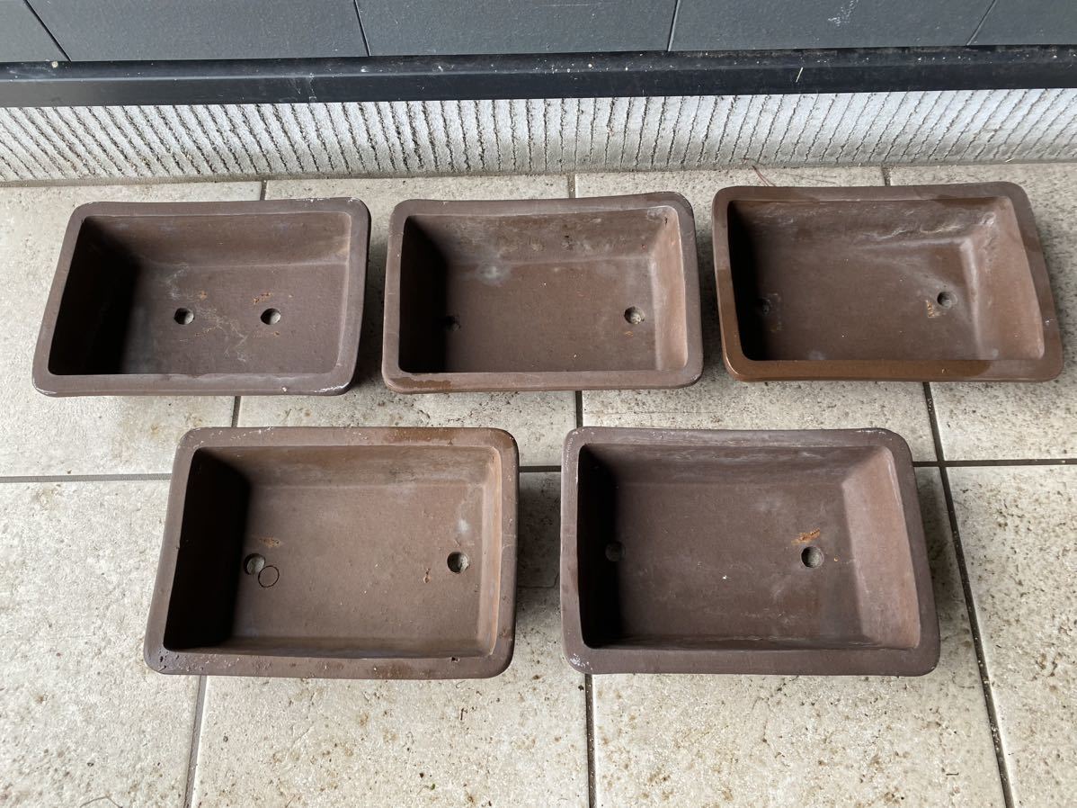 盆栽鉢 長方 鳥泥 5点セット 松盆栽 小品盆栽 松柏 盆栽 雑木 多肉植物 山野草 草花 花 園芸 ガーデニング 鉢 植木鉢拍卖