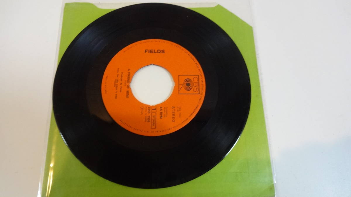 蘭盤・FIELDS/A FRIEND OF MINE 拍卖