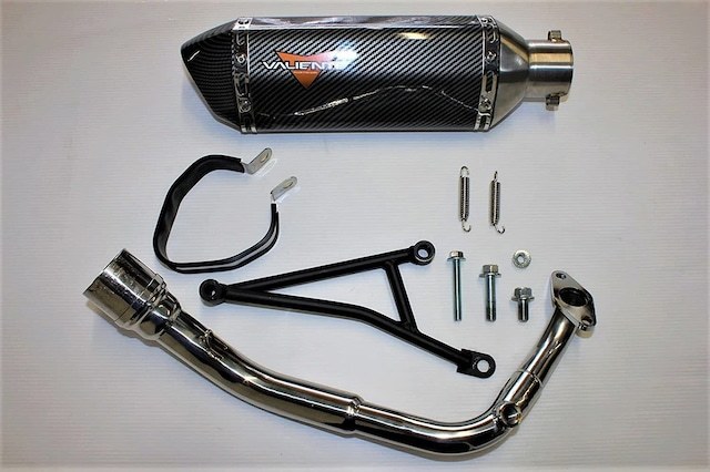 VALIENTE(バリエンテ) カーボンマフラー スズキ アドレス110 (EBJ-CE47A)拍卖