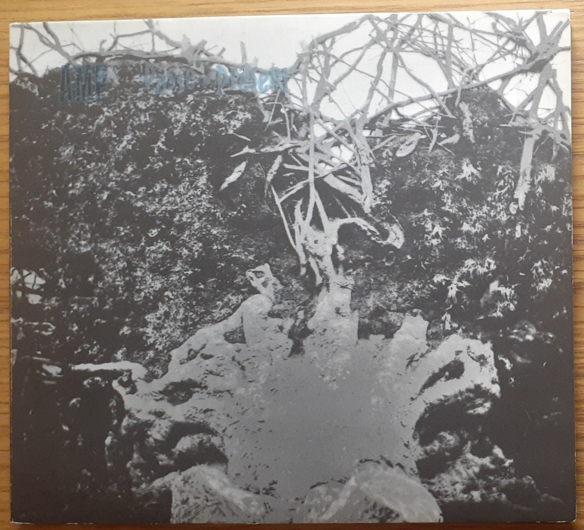 AMP / PassPrsent CD ブリストル flying saucer attack拍卖