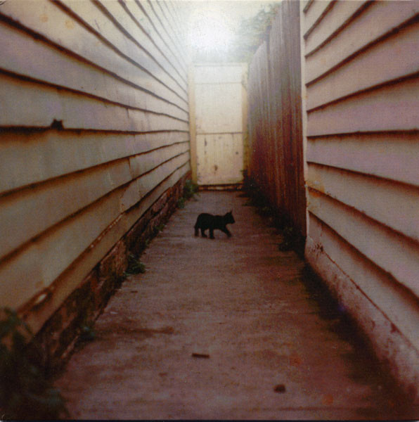 TREN BROTHERS(トレン・ブラザーズ)-Swing Ptd. 1 & 2 (OZ 限定リリース 7インチ/廃盤 NEW)拍卖