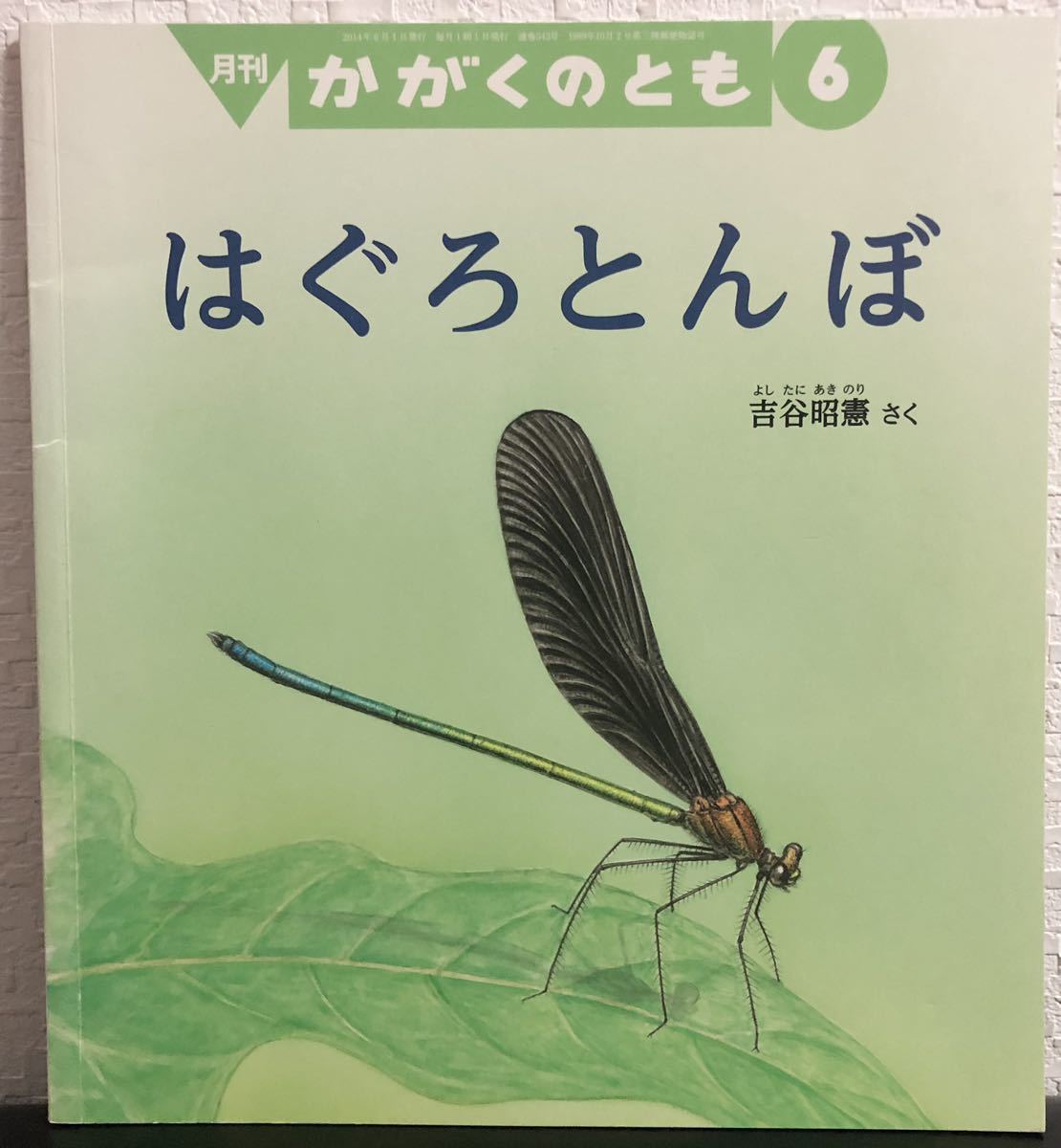 ◆当時物◆「はぐろとんぼ」かがくのとも 吉谷昭憲 福音館 2014年拍卖